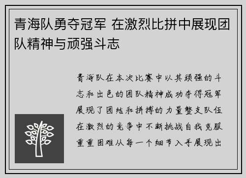 青海队勇夺冠军 在激烈比拼中展现团队精神与顽强斗志