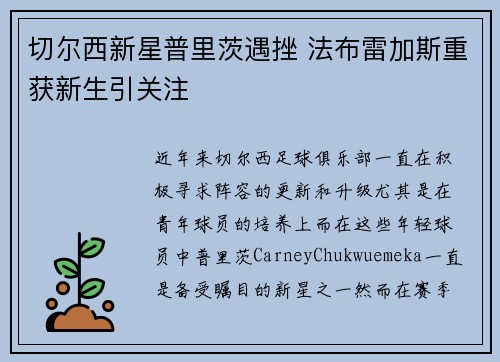 切尔西新星普里茨遇挫 法布雷加斯重获新生引关注