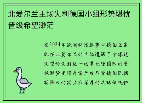 北爱尔兰主场失利德国小组形势堪忧晋级希望渺茫