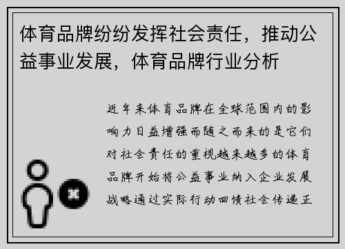 体育品牌纷纷发挥社会责任，推动公益事业发展，体育品牌行业分析