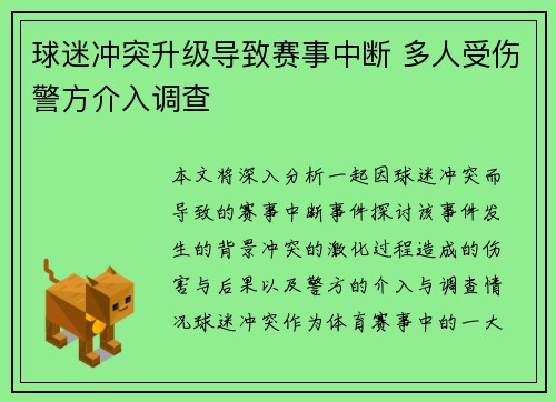 球迷冲突升级导致赛事中断 多人受伤警方介入调查