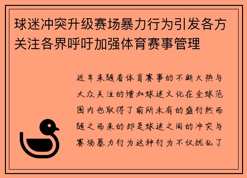球迷冲突升级赛场暴力行为引发各方关注各界呼吁加强体育赛事管理